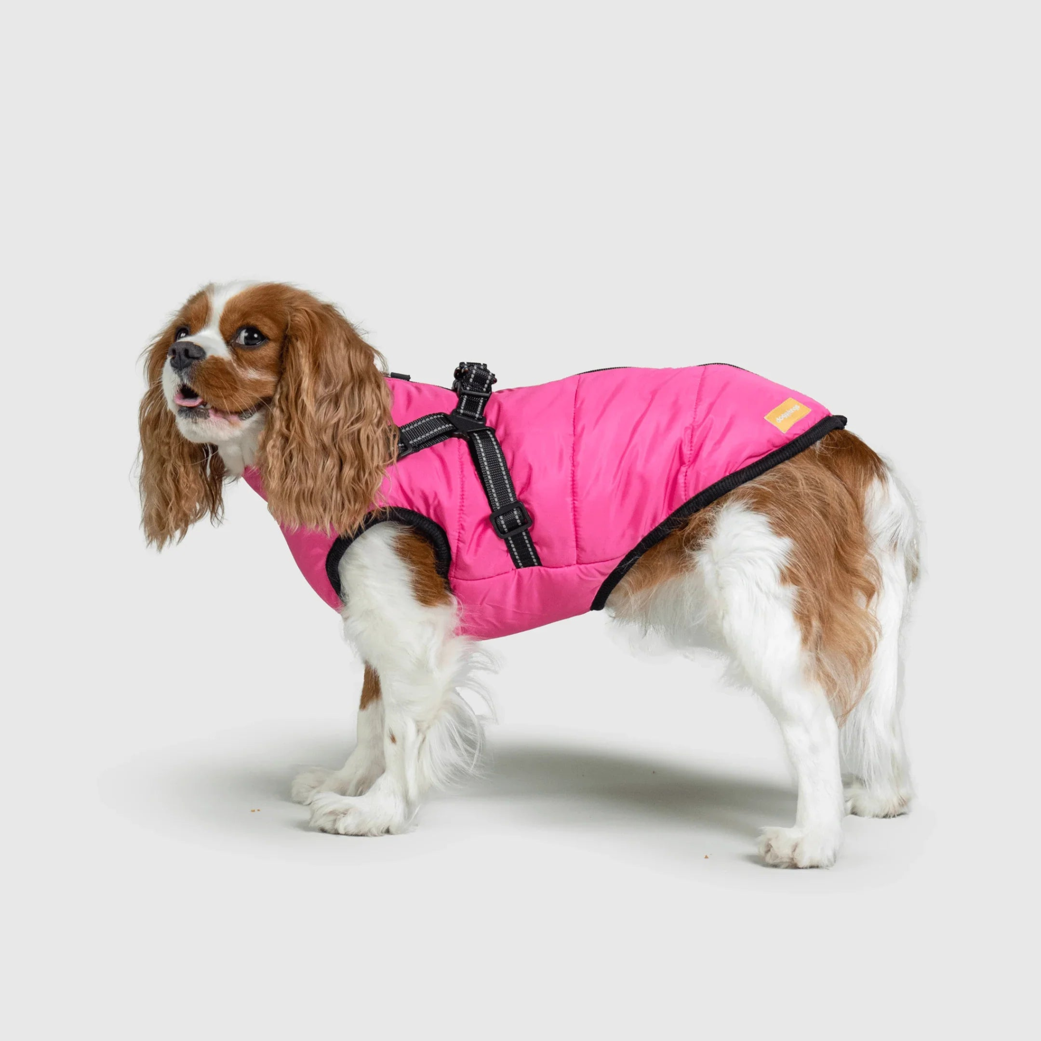 PawfectGuard™ 3-in-1 koiran takki – Äärimmäinen suoja, tyyli ja mukavuus!