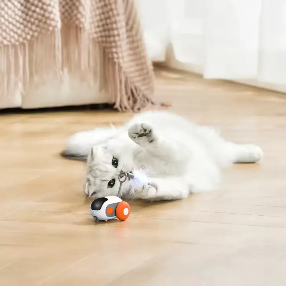 PurrBot 2.0 – Kissan täydellinen leikkikaveri
