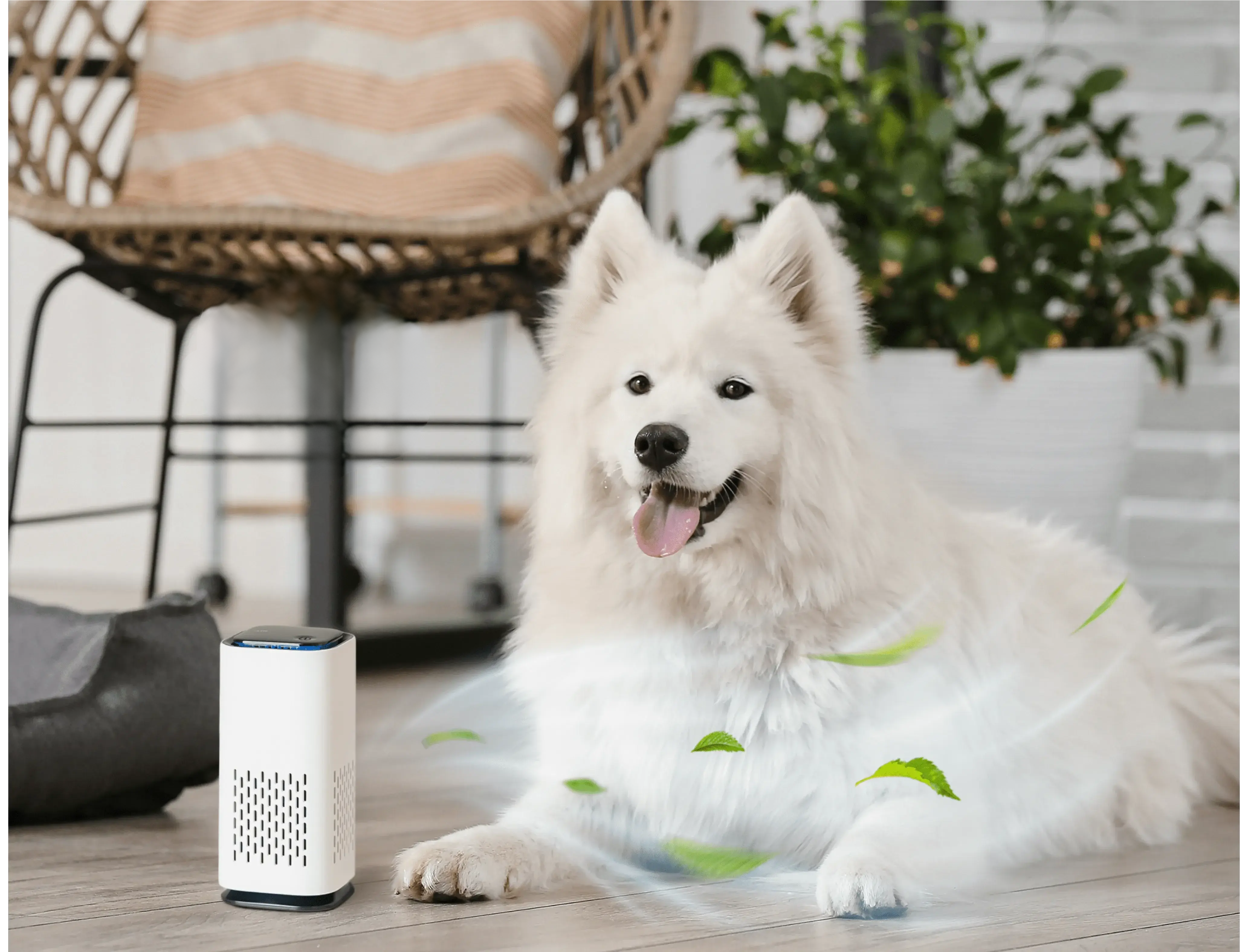 Pet Air Purifier™