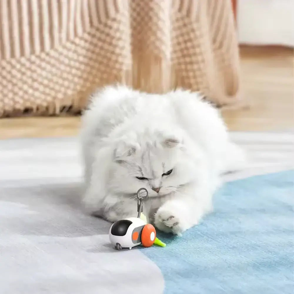 PurrBot 2.0 – Kissan täydellinen leikkikaveri