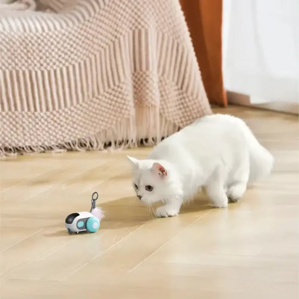 PurrBot 2.0 – Kissan täydellinen leikkikaveri