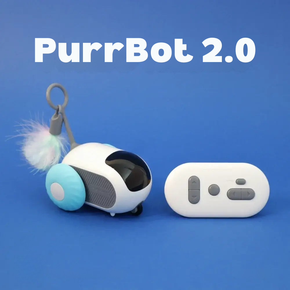 PurrBot 2.0 – Kissan täydellinen leikkikaveri
