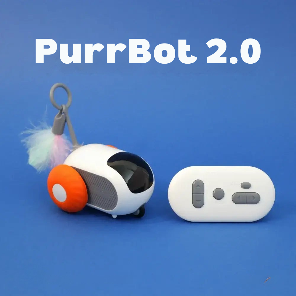 PurrBot 2.0 – Kissan täydellinen leikkikaveri