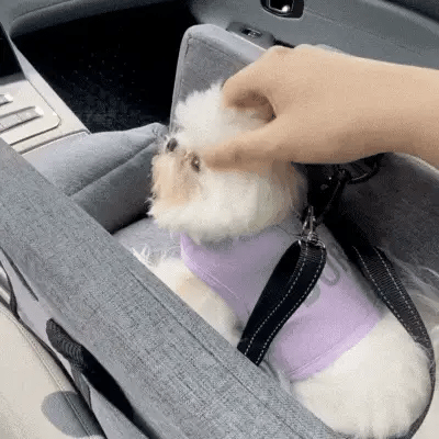 Pet Car Bag™ – Mukava ja turvallinen käsinojapeti lemmikeille autossa