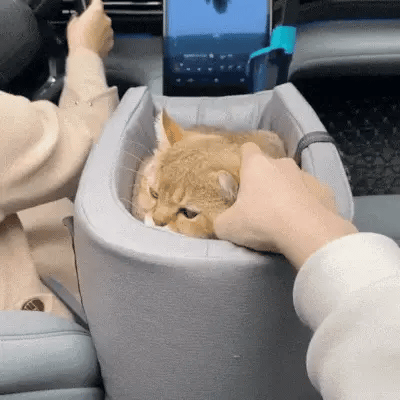 Pet Car Bag™ – Mukava ja turvallinen käsinojapeti lemmikeille autossa