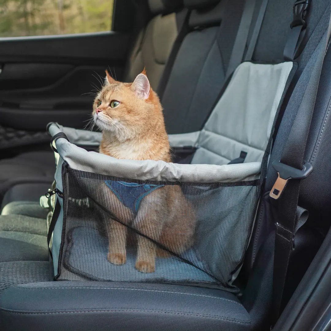 Tilava ja hengittävä autotuoli lemmikille