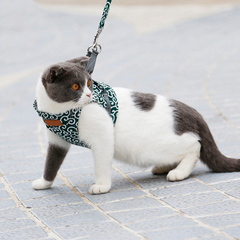 KittyVest Turvavaljaat – Mukavat ja turvalliset valjaat kissasi ulkoiluun