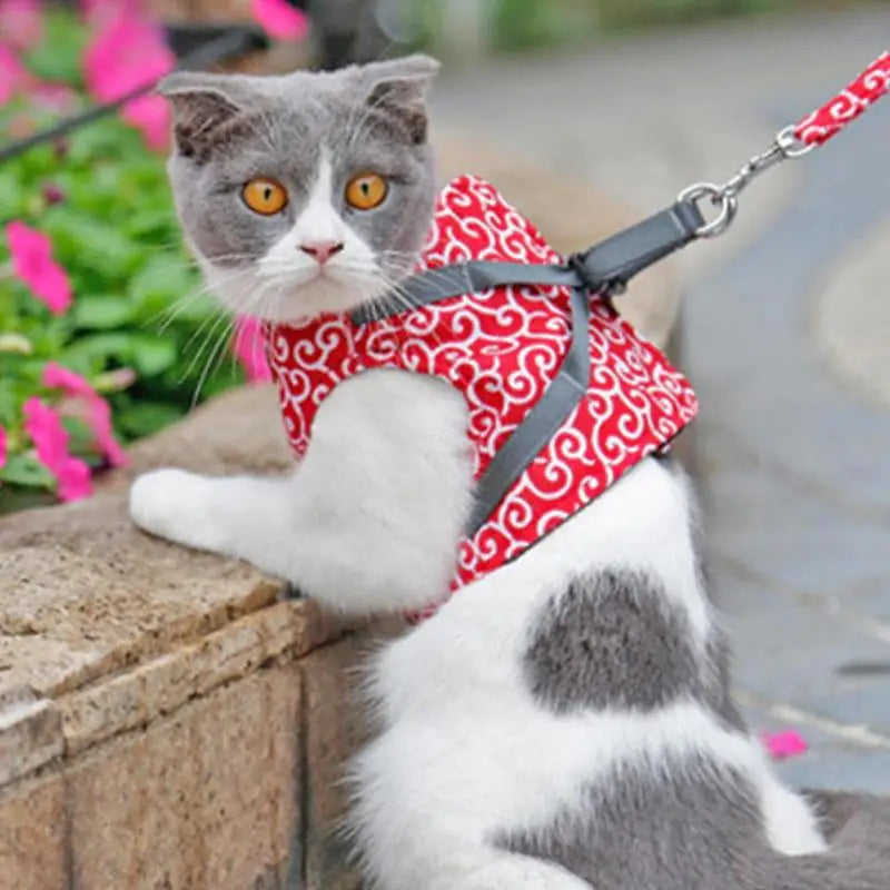 KittyVest Turvavaljaat – Mukavat ja turvalliset valjaat kissasi ulkoiluun