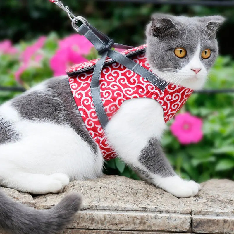KittyVest Turvavaljaat – Mukavat ja turvalliset valjaat kissasi ulkoiluun