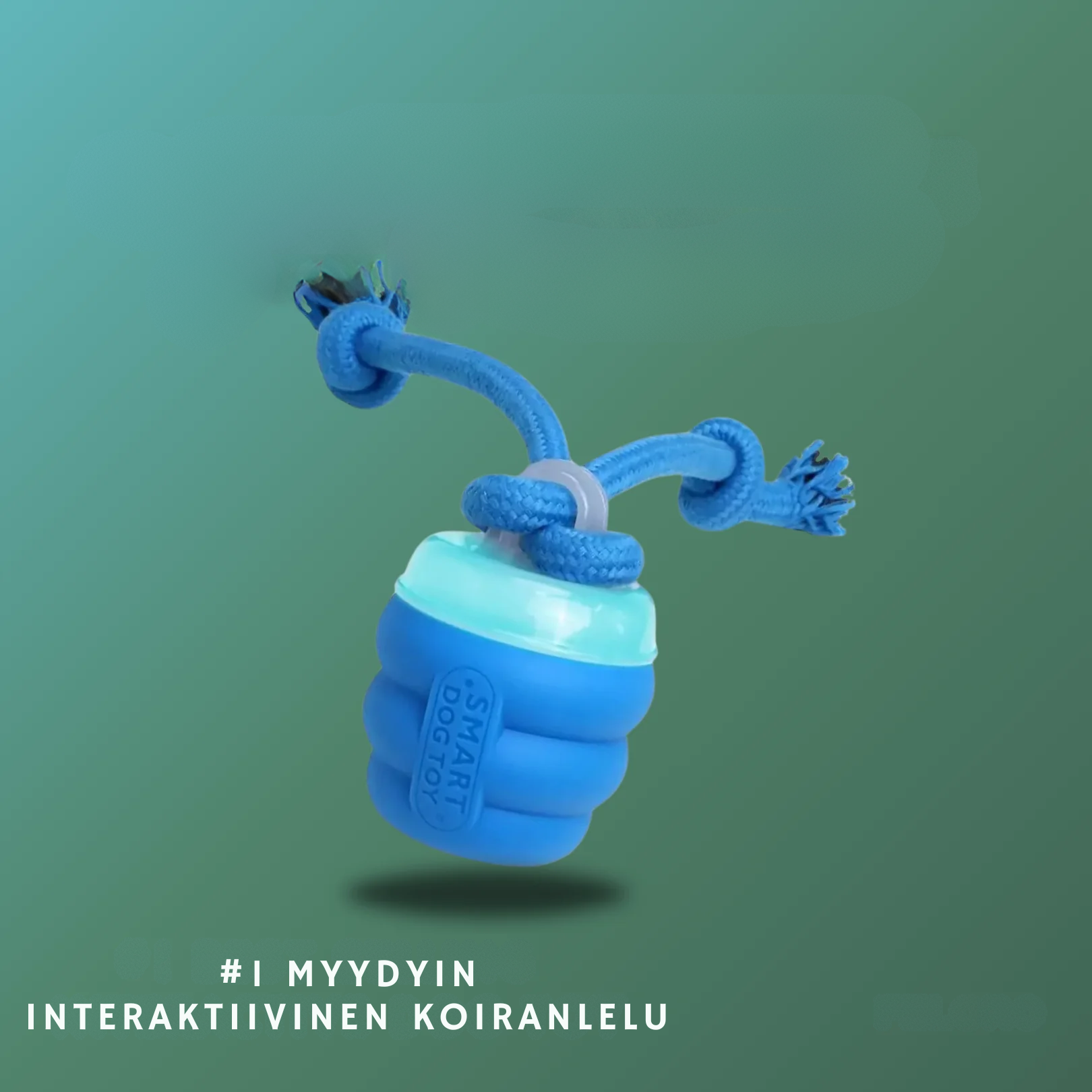 InstinctChase™ | Interaktiivinen koiran takaa-ajolelu