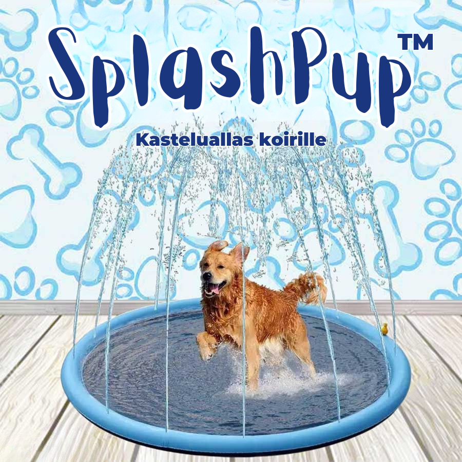 SplashPup™ – Kasteluallas koirille