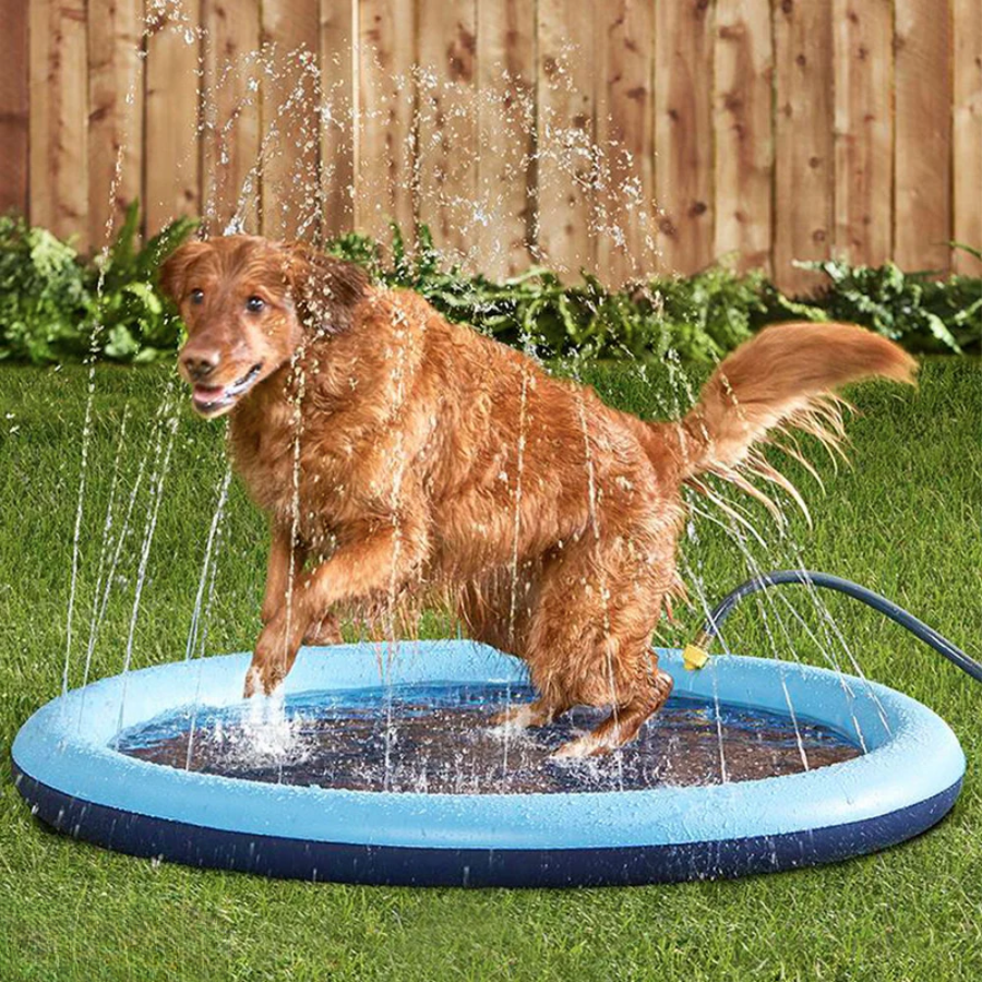 SplashPup™ – Kasteluallas koirille