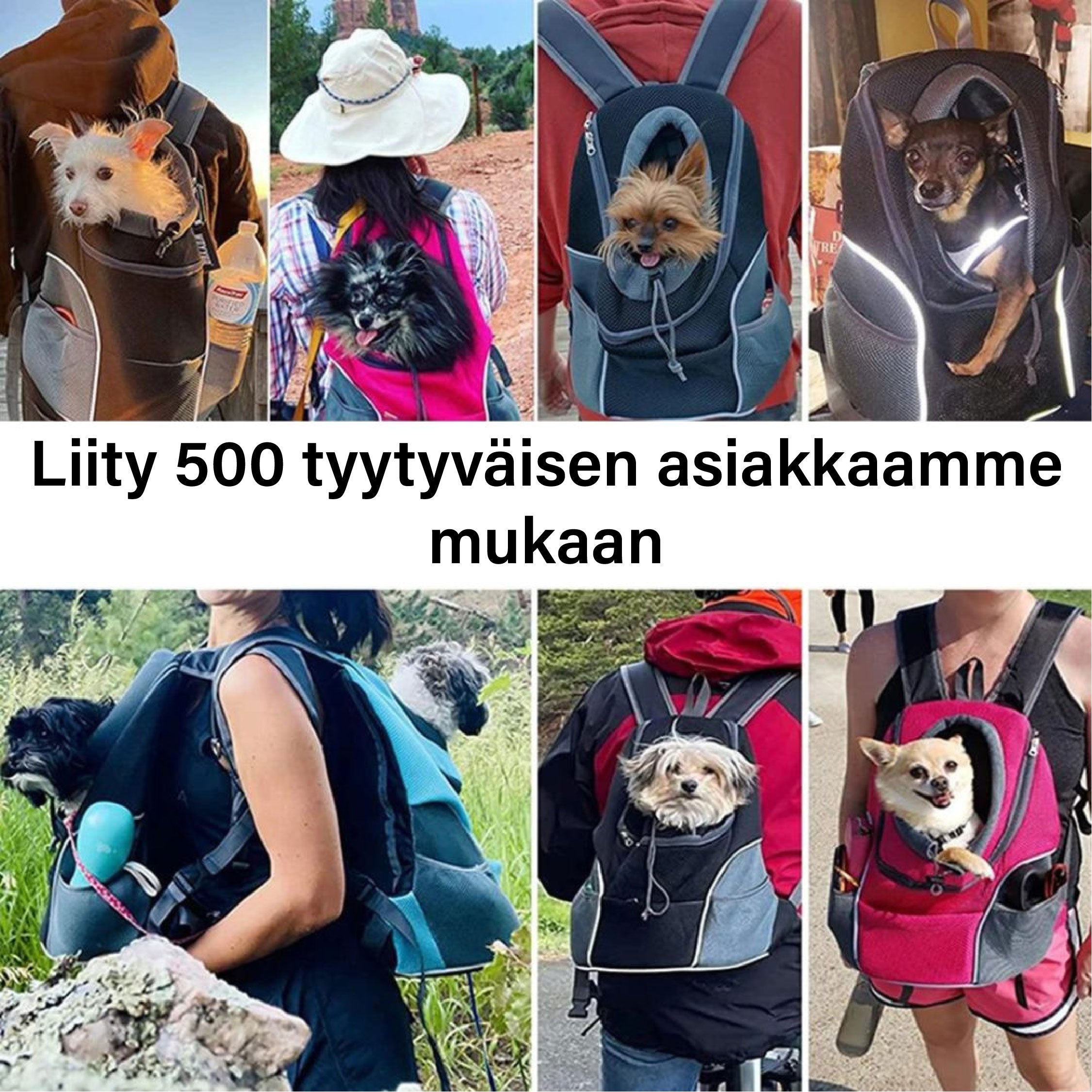 Travelpet™ lemmikin kantoreppu