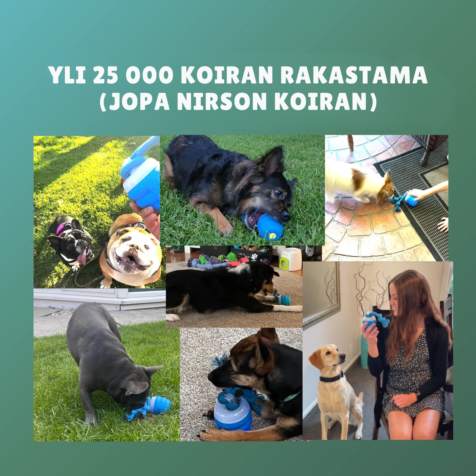InstinctChase™ | Interaktiivinen koiran takaa-ajolelu