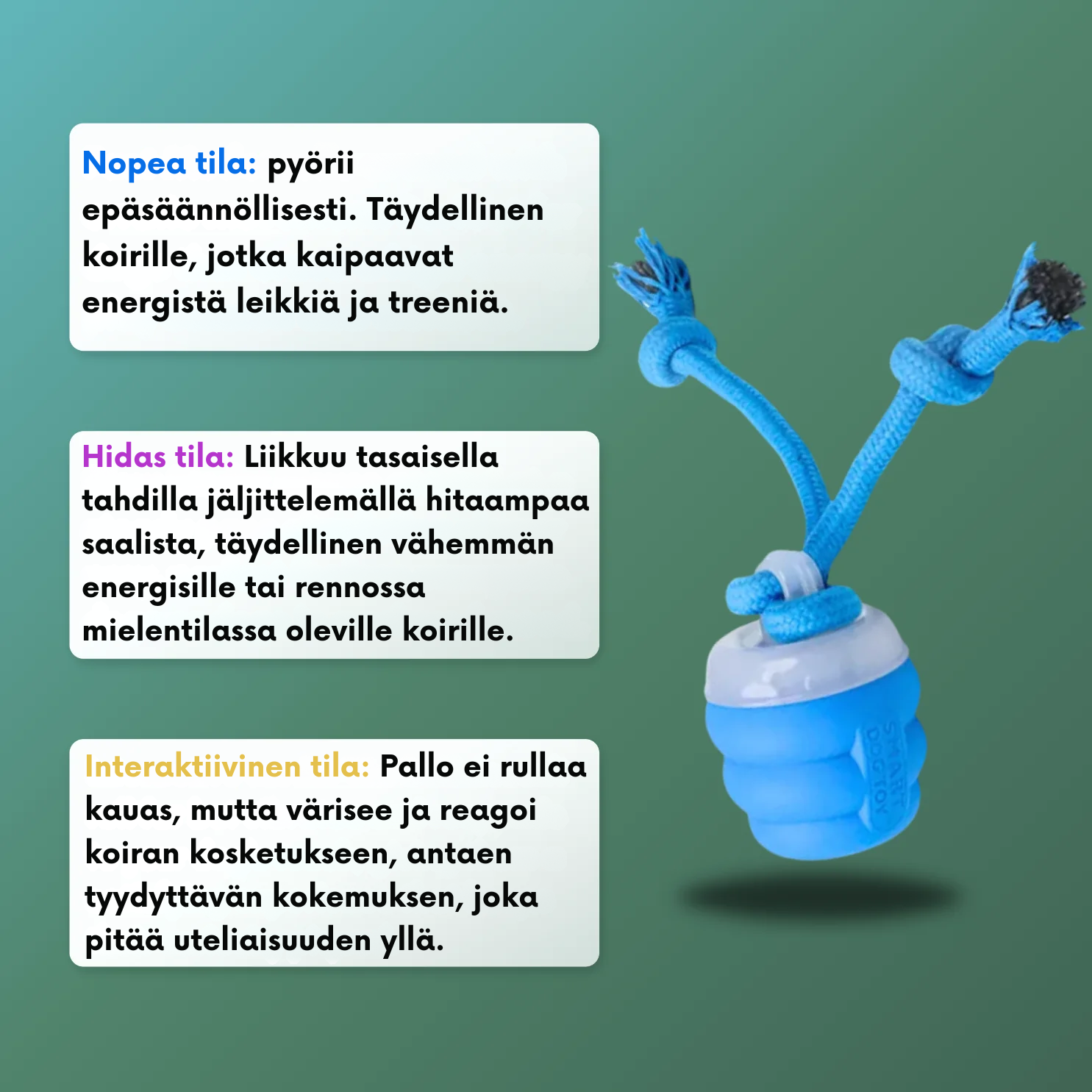 InstinctChase™ | Interaktiivinen koiran takaa-ajolelu