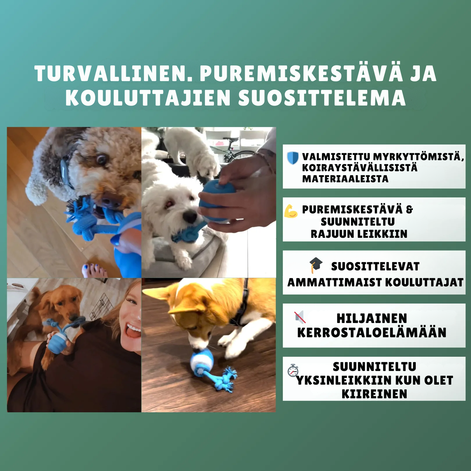 InstinctChase™ | Interaktiivinen koiran takaa-ajolelu