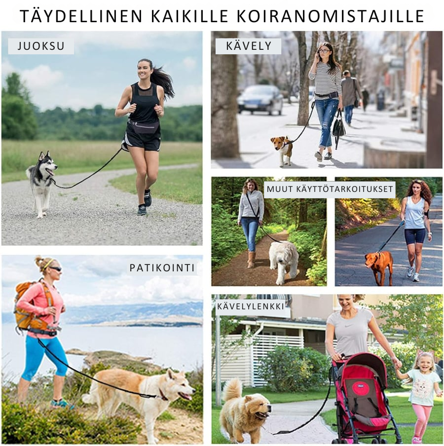 DoggoBelt™ | Handsfree-koiran talutushihna vetoketjutaskulla
