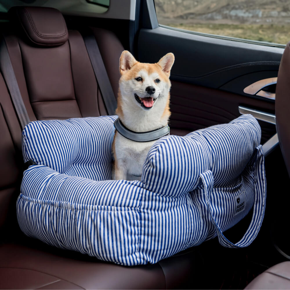 Koiran Autokori Turvavyöllä Irrotettava Vuori