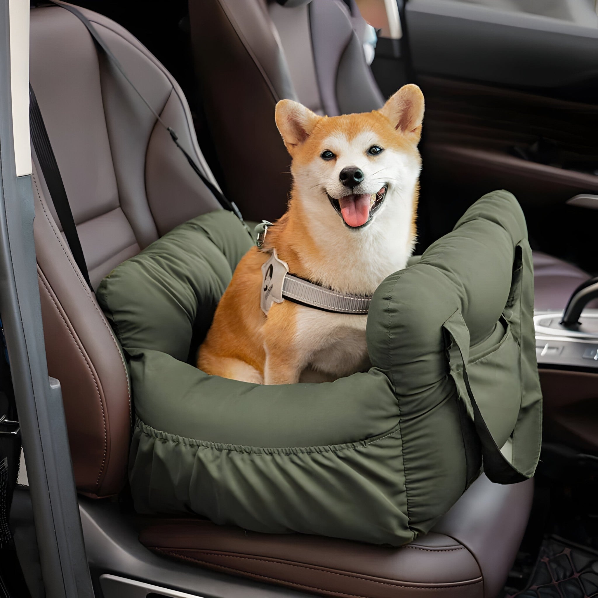 Koiran Autokori Turvavyöllä Irrotettava Vuori