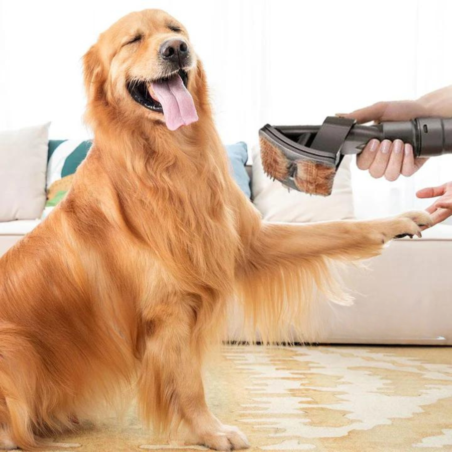 DogCatFri™ VacuumBrush – Karvanpoistoharja imurilla koirille ja kissoille