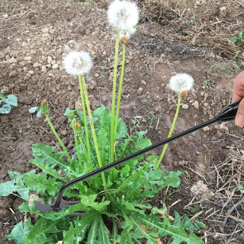 ErgoWeed™ ergonominen rikkaruohon- ja nurmenpoistaja – puutarhan siistimiseen ilman kumartelua