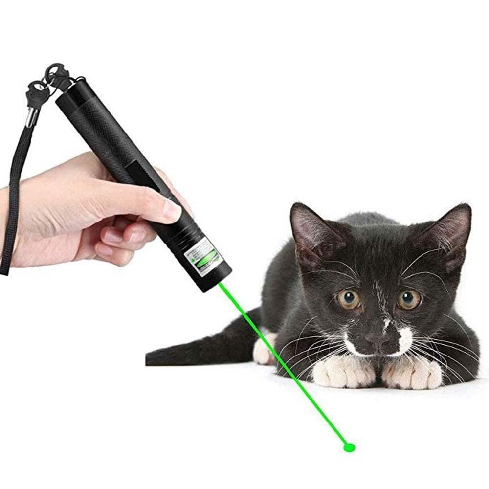 Laserosoitin LED Taskulamppu Interaktiivinen
