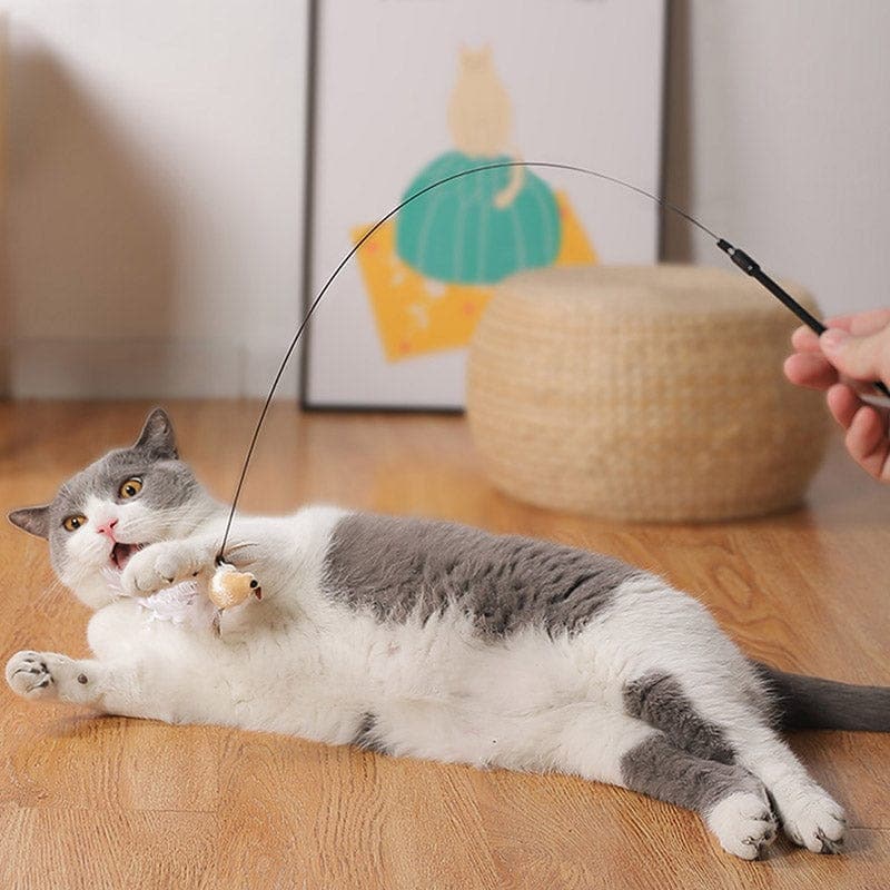 PurrChase Bird Toy – Interaktiivinen metsästyssimulaatio kissoille