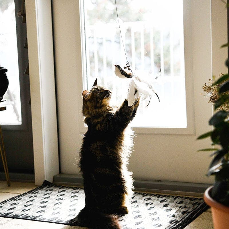 PurrChase Bird Toy – Interaktiivinen metsästyssimulaatio kissoille