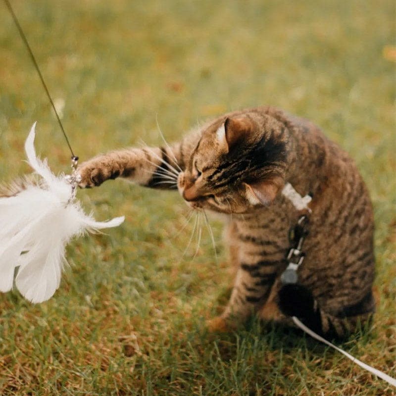 PurrChase Bird Toy – Interaktiivinen metsästyssimulaatio kissoille