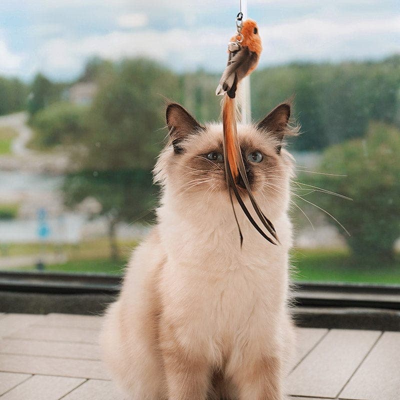 PurrChase Bird Toy – Interaktiivinen metsästyssimulaatio kissoille