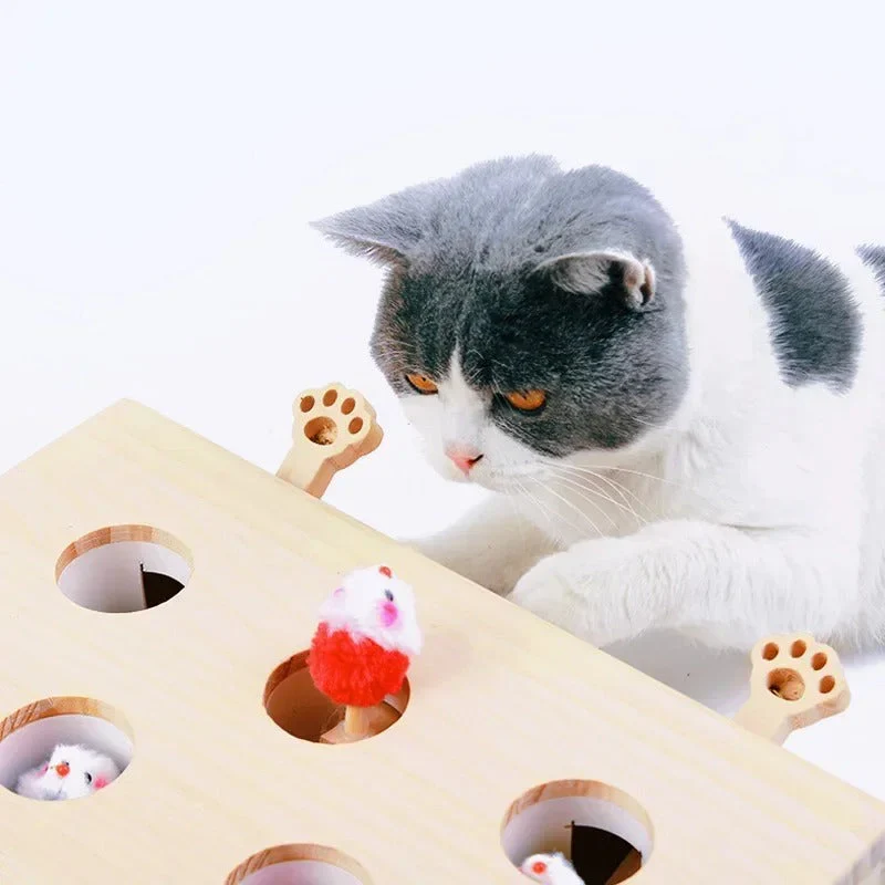 PopPals Surprise | Vuorovaikutteinen lelu kissoille, pienille koirille ja leikkisille lemmikeille.