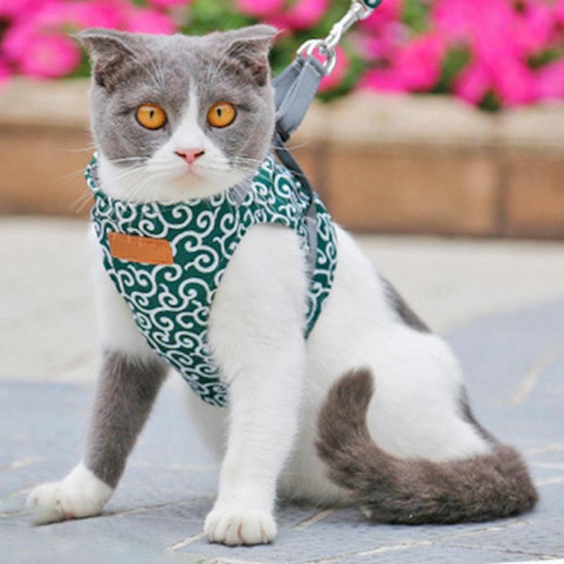 KittyVest Turvavaljaat – Mukavat ja turvalliset valjaat kissasi ulkoiluun