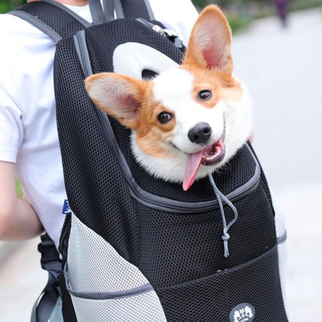 Travelpet™ lemmikin kantoreppu
