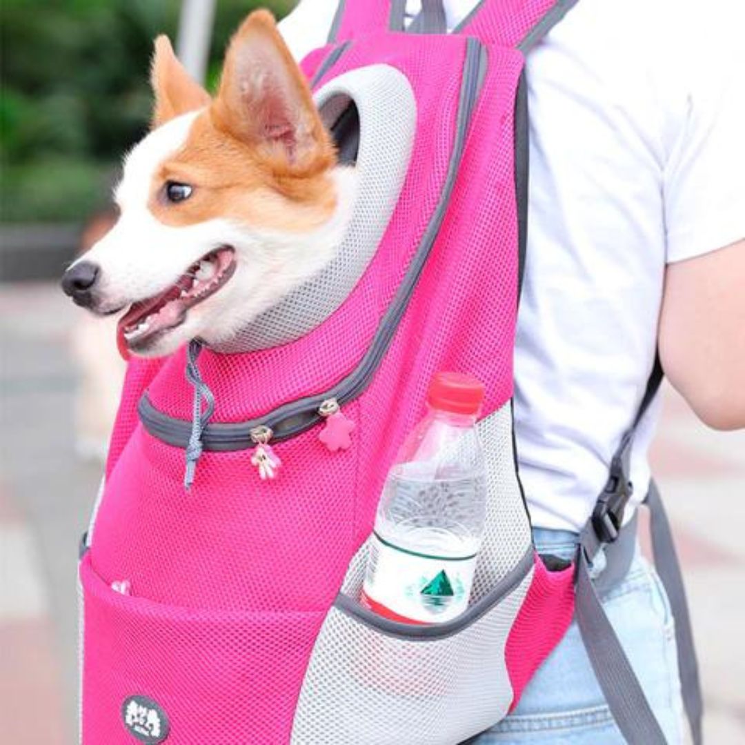 Travelpet™ lemmikin kantoreppu
