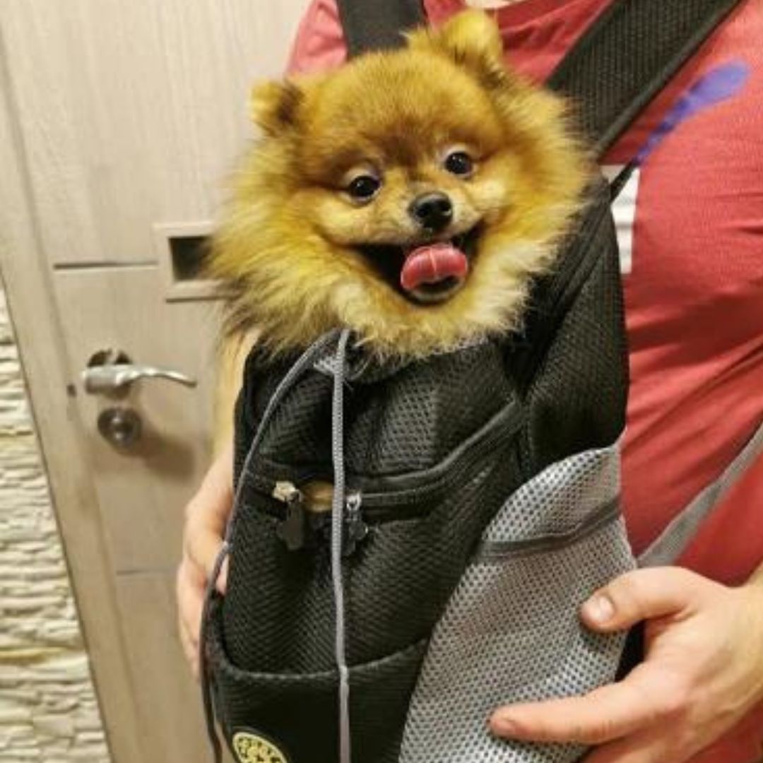 Travelpet™ lemmikin kantoreppu