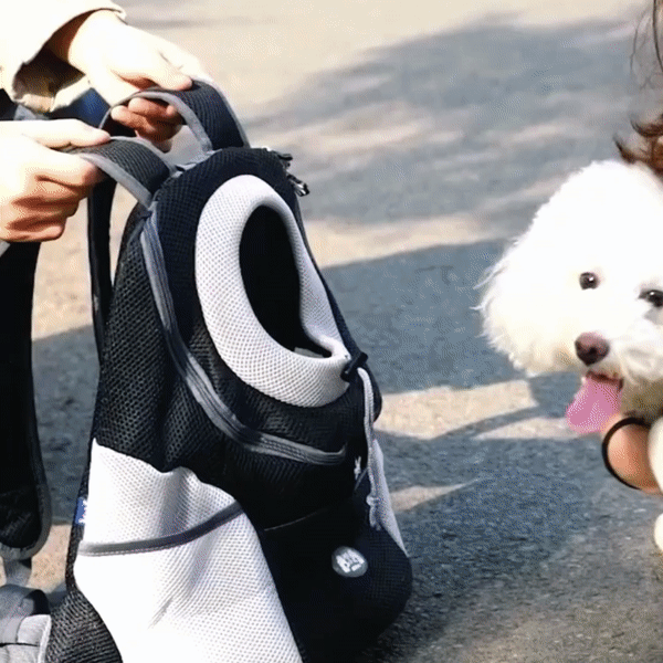 Travelpet™ lemmikin kantoreppu